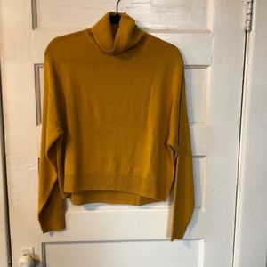 H&M Turtleneck
